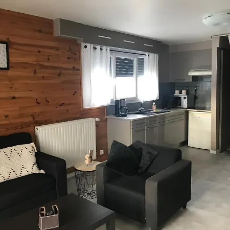Apartamento Studio 35m² Confort Dans Maison Avec Wifi Xonrupt-Longemer
