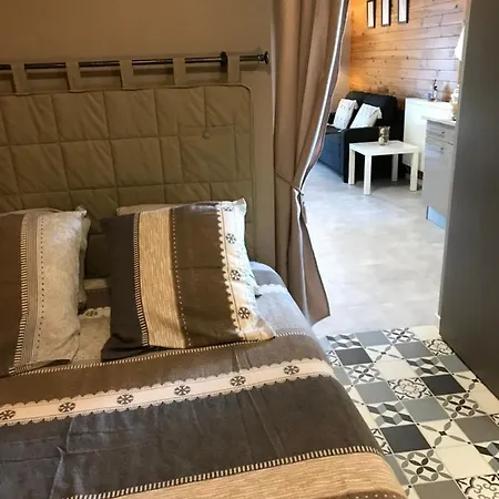 Apartamento Studio 35m² Confort Dans Maison Avec Wifi Xonrupt-Longemer